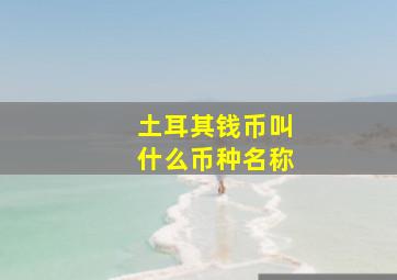 土耳其钱币叫什么币种名称