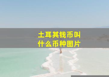 土耳其钱币叫什么币种图片