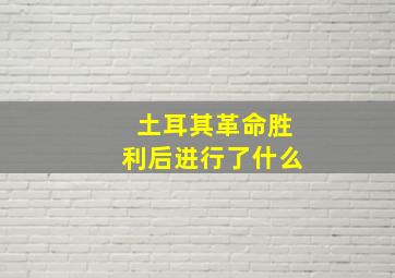 土耳其革命胜利后进行了什么