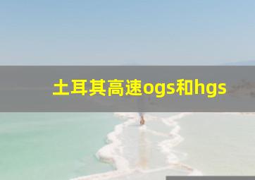 土耳其高速ogs和hgs