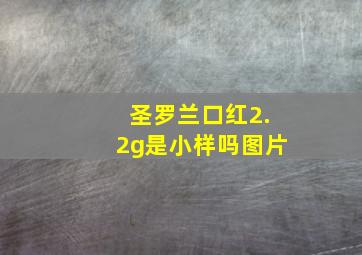 圣罗兰口红2.2g是小样吗图片