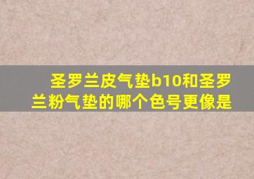 圣罗兰皮气垫b10和圣罗兰粉气垫的哪个色号更像是