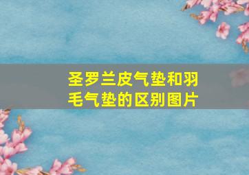 圣罗兰皮气垫和羽毛气垫的区别图片