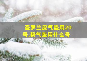 圣罗兰皮气垫用20号,粉气垫用什么号