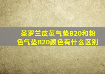 圣罗兰皮革气垫B20和粉色气垫B20颜色有什么区别