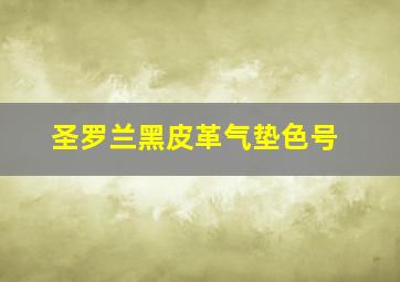 圣罗兰黑皮革气垫色号