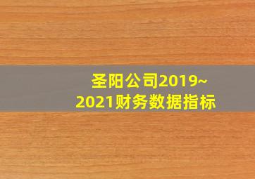 圣阳公司2019~2021财务数据指标