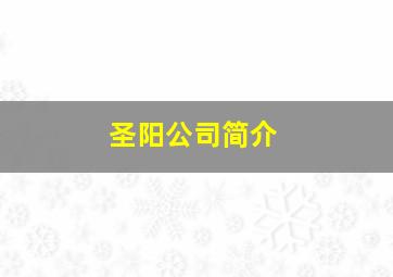 圣阳公司简介