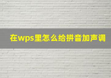 在wps里怎么给拼音加声调