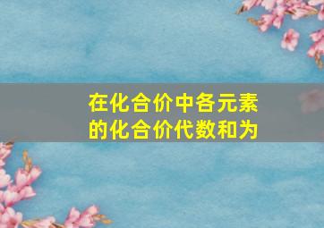 在化合价中各元素的化合价代数和为