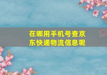 在哪用手机号查京东快递物流信息呢