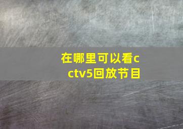 在哪里可以看cctv5回放节目