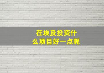 在埃及投资什么项目好一点呢