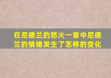 在尼德兰的怒火一章中尼德兰的情绪发生了怎样的变化