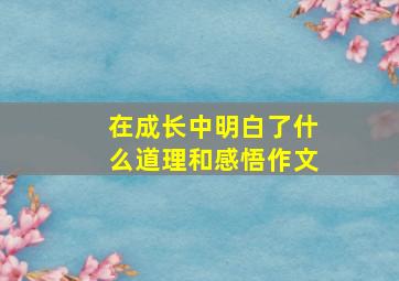 在成长中明白了什么道理和感悟作文