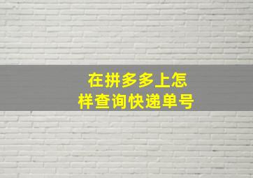 在拼多多上怎样查询快递单号