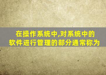 在操作系统中,对系统中的软件进行管理的部分通常称为