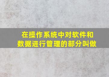 在操作系统中对软件和数据进行管理的部分叫做