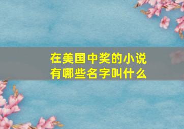 在美国中奖的小说有哪些名字叫什么