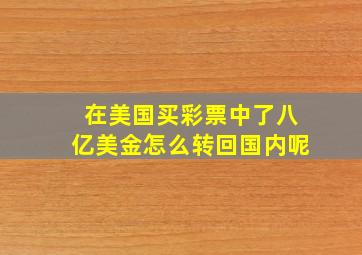 在美国买彩票中了八亿美金怎么转回国内呢