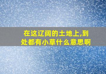 在这辽阔的土地上,到处都有小草什么意思啊