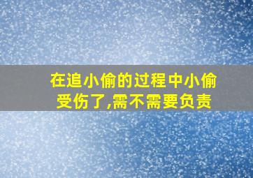 在追小偷的过程中小偷受伤了,需不需要负责