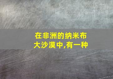 在非洲的纳米布大沙漠中,有一种