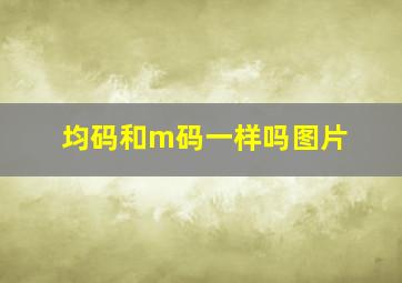 均码和m码一样吗图片