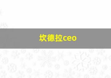 坎德拉ceo