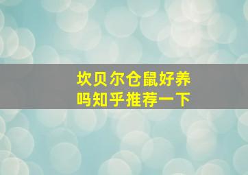 坎贝尔仓鼠好养吗知乎推荐一下