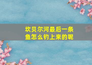 坎贝尔河最后一条鱼怎么钓上来的呢