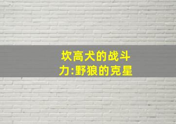 坎高犬的战斗力:野狼的克星