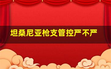 坦桑尼亚枪支管控严不严