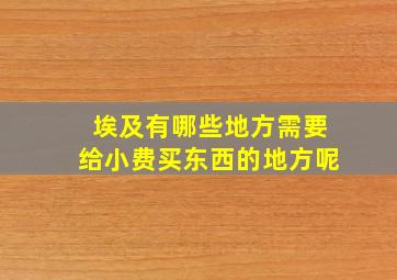 埃及有哪些地方需要给小费买东西的地方呢