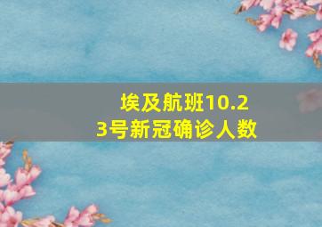 埃及航班10.23号新冠确诊人数