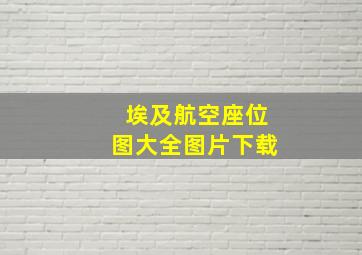 埃及航空座位图大全图片下载