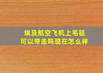 埃及航空飞机上毛毯可以带走吗现在怎么样