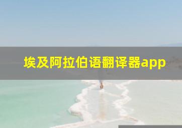 埃及阿拉伯语翻译器app