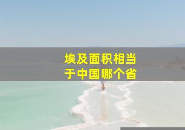 埃及面积相当于中国哪个省