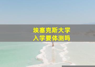 埃塞克斯大学入学要体测吗