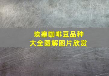 埃塞咖啡豆品种大全图解图片欣赏