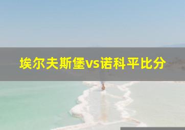 埃尔夫斯堡vs诺科平比分