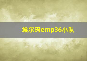 埃尔玛emp36小队