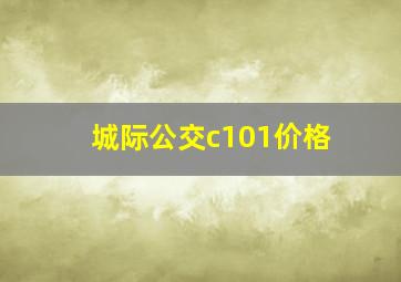 城际公交c101价格