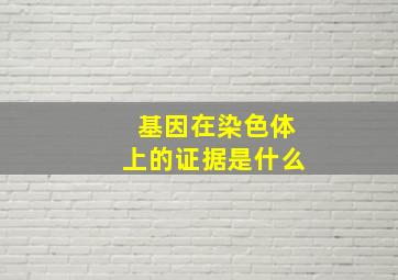 基因在染色体上的证据是什么