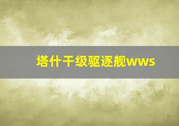 塔什干级驱逐舰wws