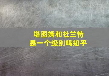 塔图姆和杜兰特是一个级别吗知乎