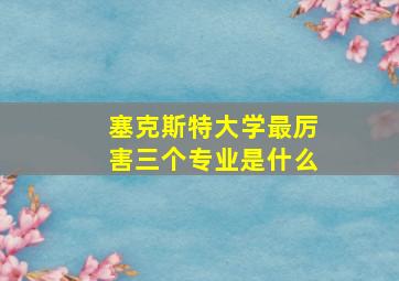 塞克斯特大学最厉害三个专业是什么