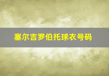 塞尔吉罗伯托球衣号码