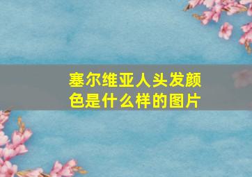 塞尔维亚人头发颜色是什么样的图片